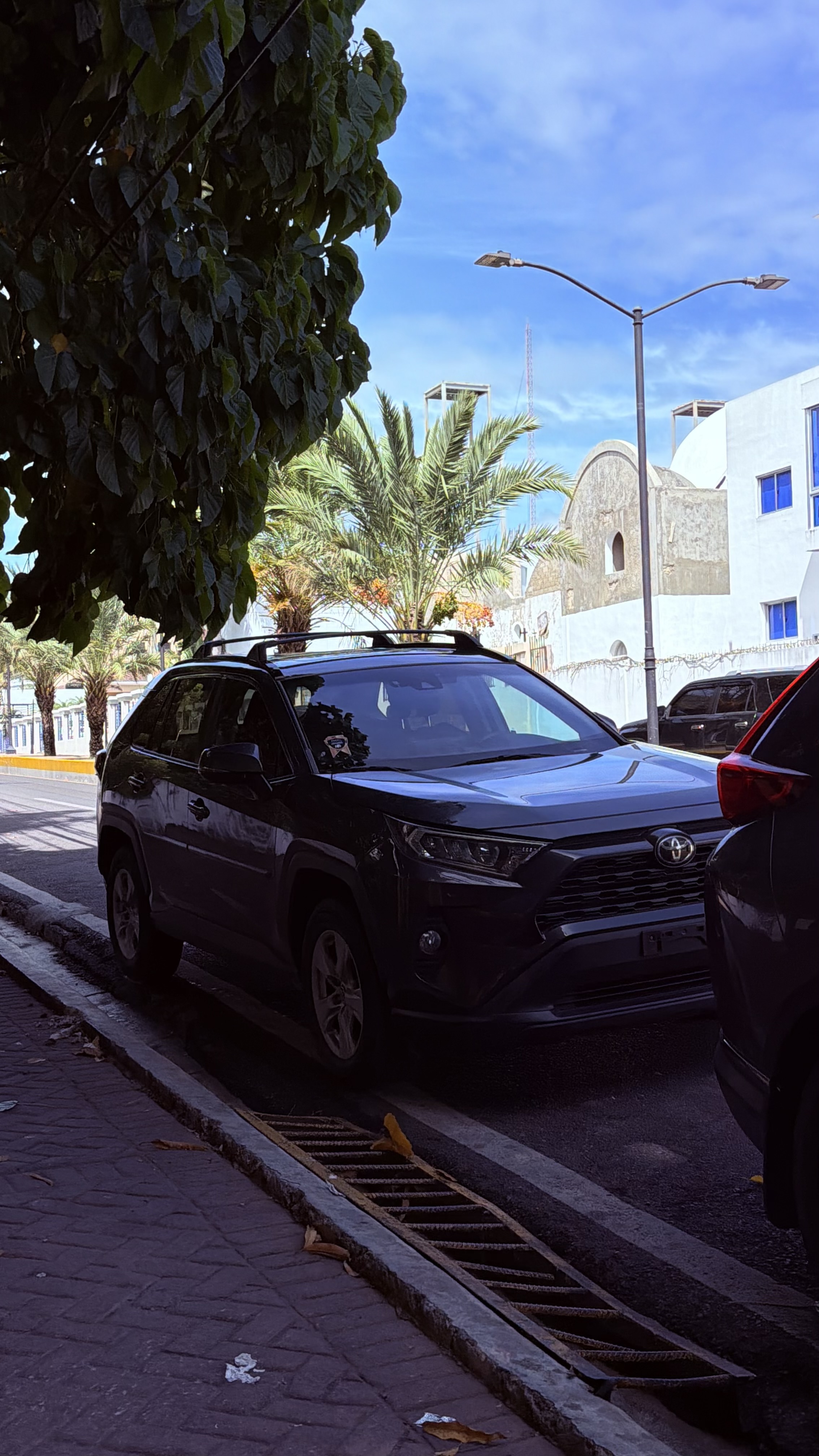 Toyota RAV4 XLE 2020 en renta en Santiago de los Caballeros